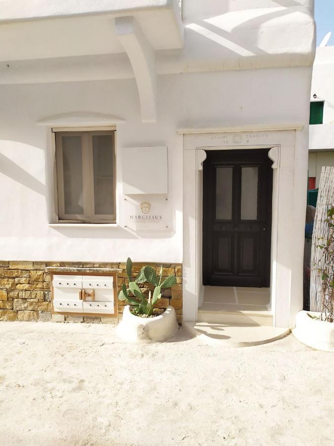 Narcissus Luxury Suites Naxos City エクステリア 写真