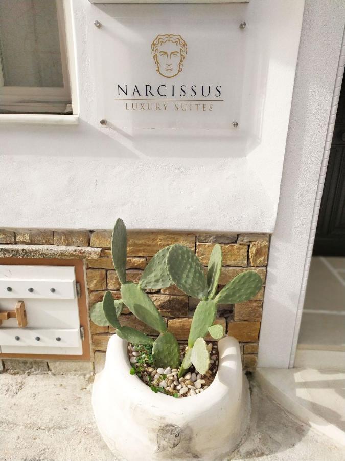 Narcissus Luxury Suites Naxos City エクステリア 写真
